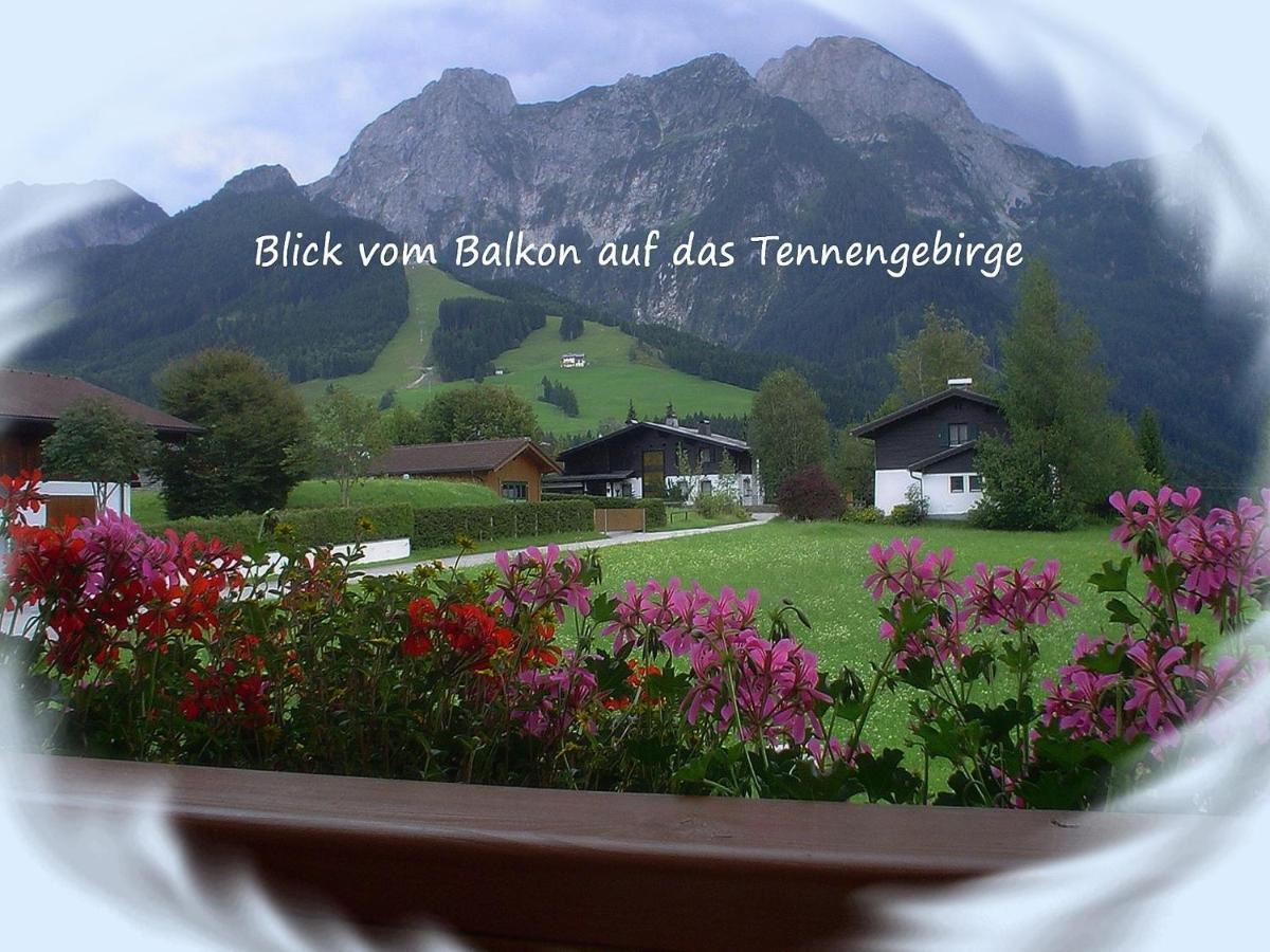 Apartment Dreier - Salzburger Land Abtenau Camera foto